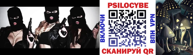 как найти закладки  Фатеж  Галлюциногенные грибы Psilocybe 